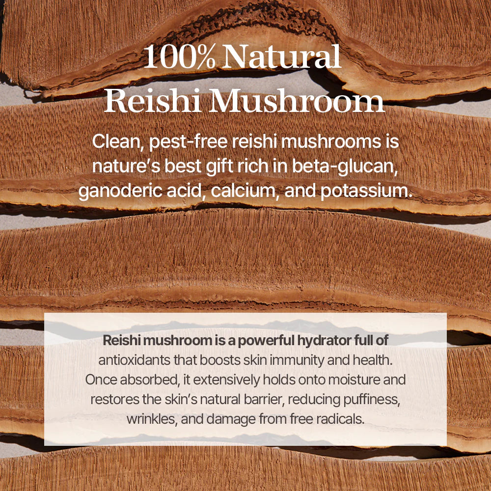 Reishi Mushroom Essence Facial Essence, 100 ml