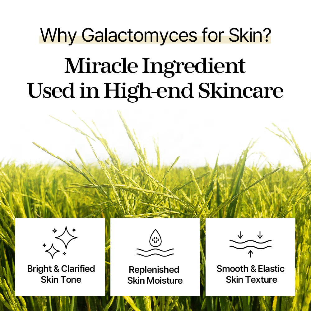 "Galactomyces Toner Pad" facial toner pads, 60 pcs.