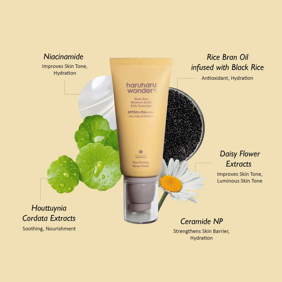 Black Rice Moisture Airyfit Daily Sunscreen SPF50+ PA++++, 50 ml