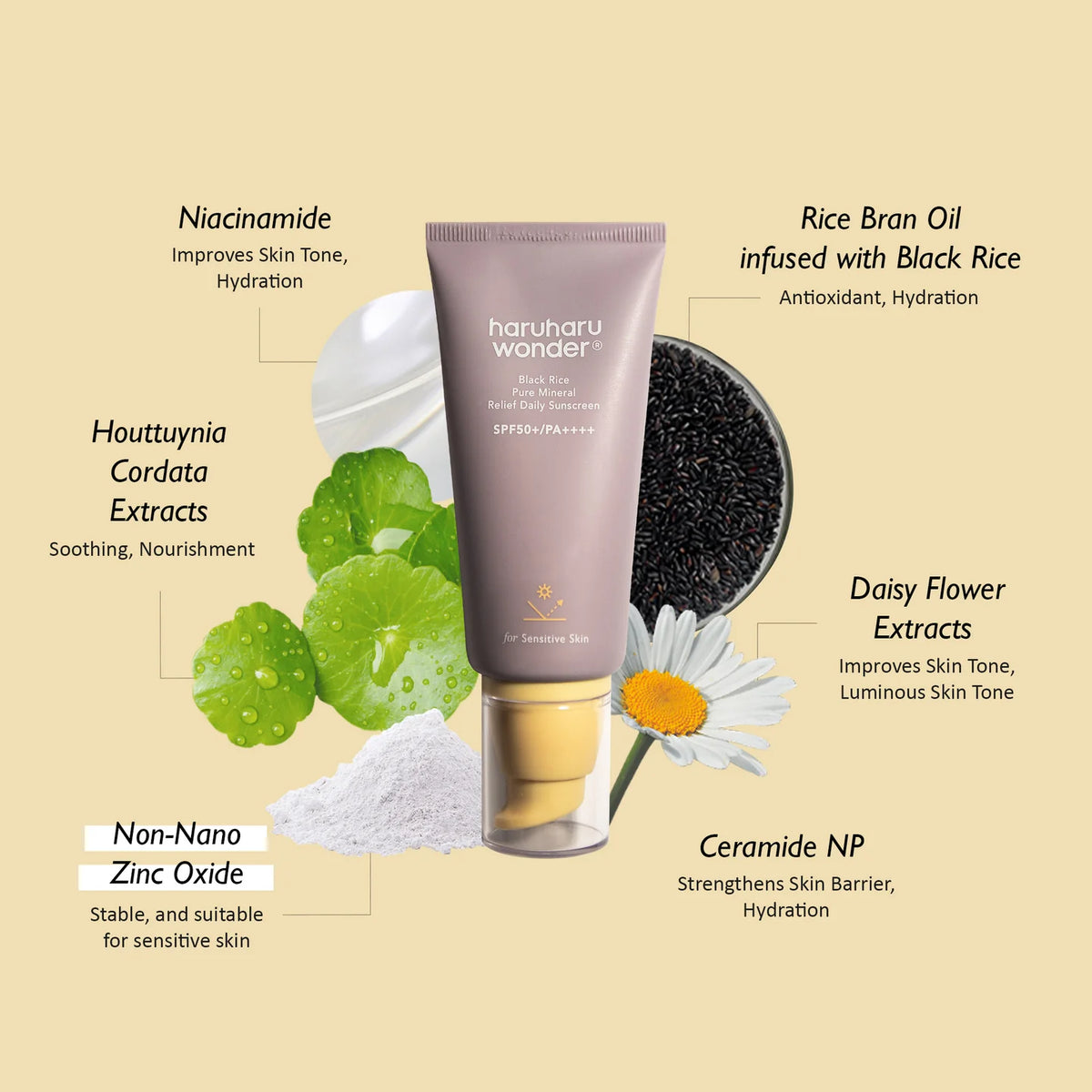 Black Rice Pure Mineral Relief Daily Sunscreen SPF50+ PA++++, 50 ml