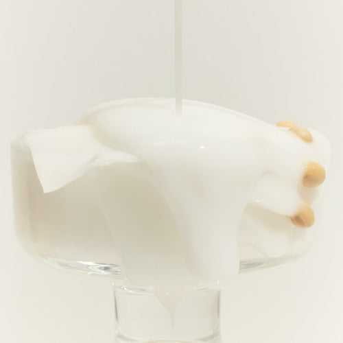 Soybean Milk Pad soybean extract pads, 10 pcs.
