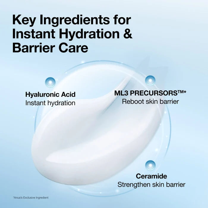 Lengvas drėkinamasis gelinis kremas odos barjerui stiprinti ir paraudimui mažinti "Barrier Reboot Water Gel Cream", 100 ml